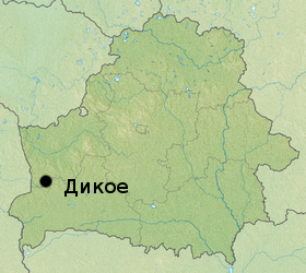 Dikoe_boloto.png